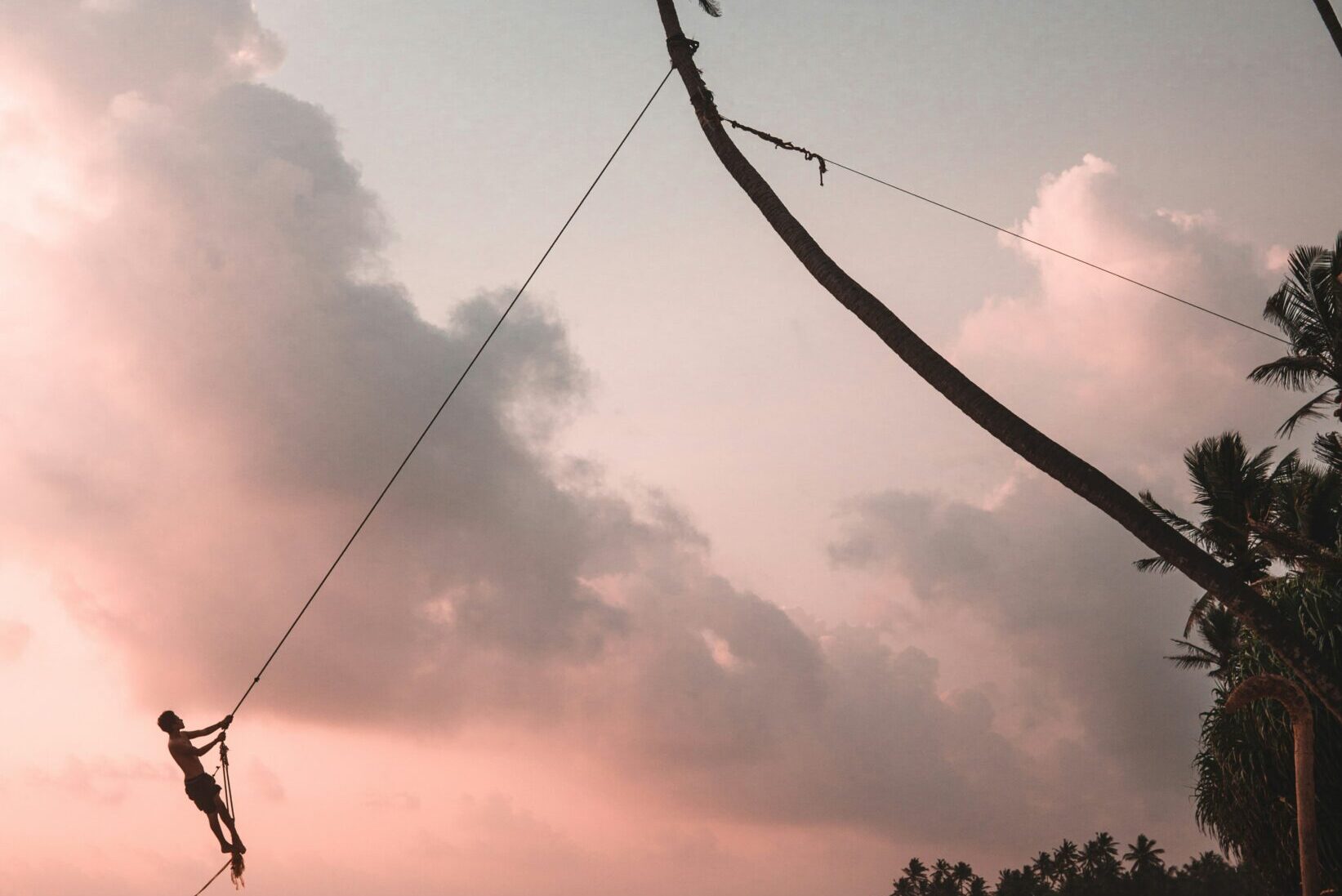 alex-azabache-1waZIrVVgMk-unsplash