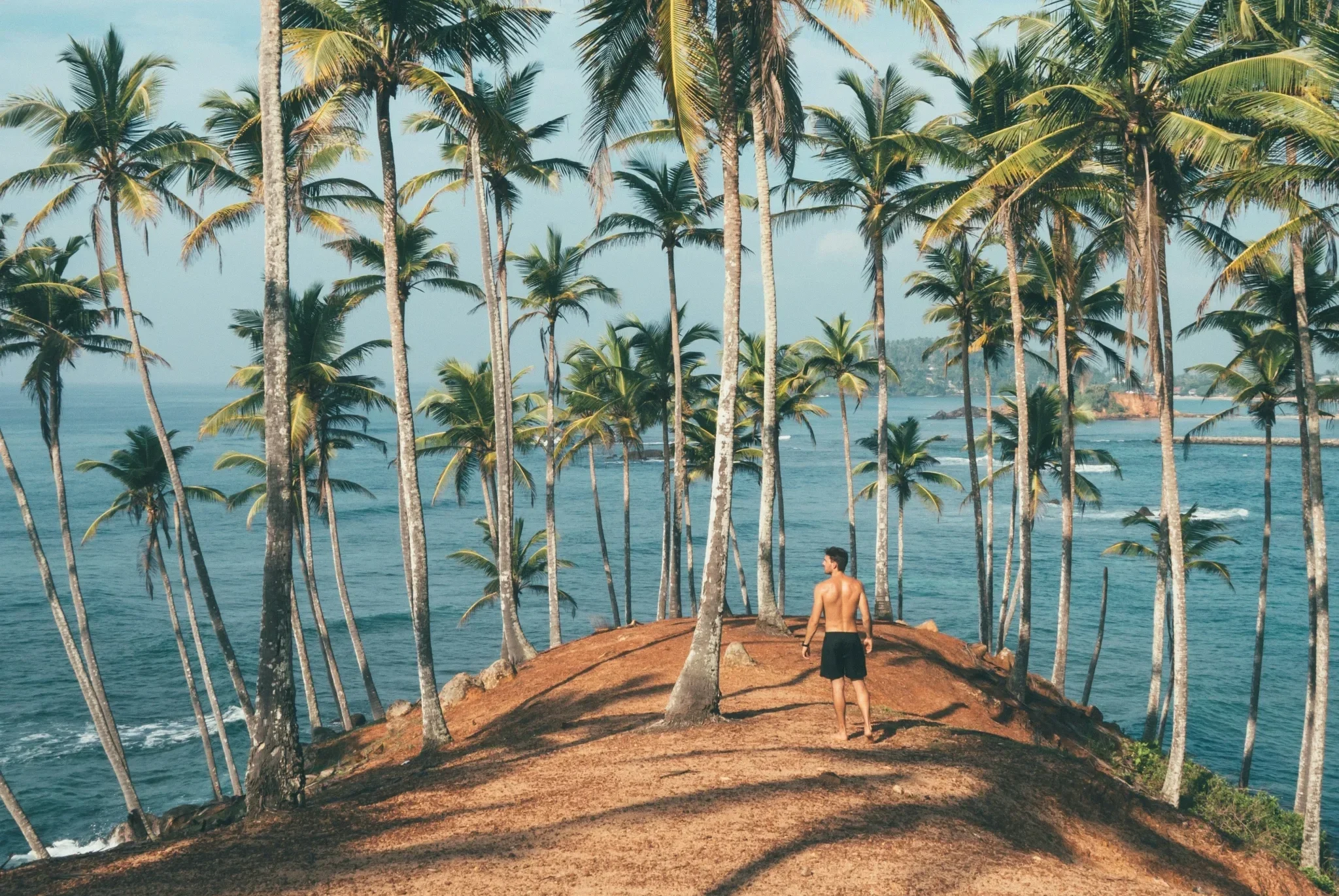 oliver-sjostrom-SDrAcUDJ-Qg-unsplash