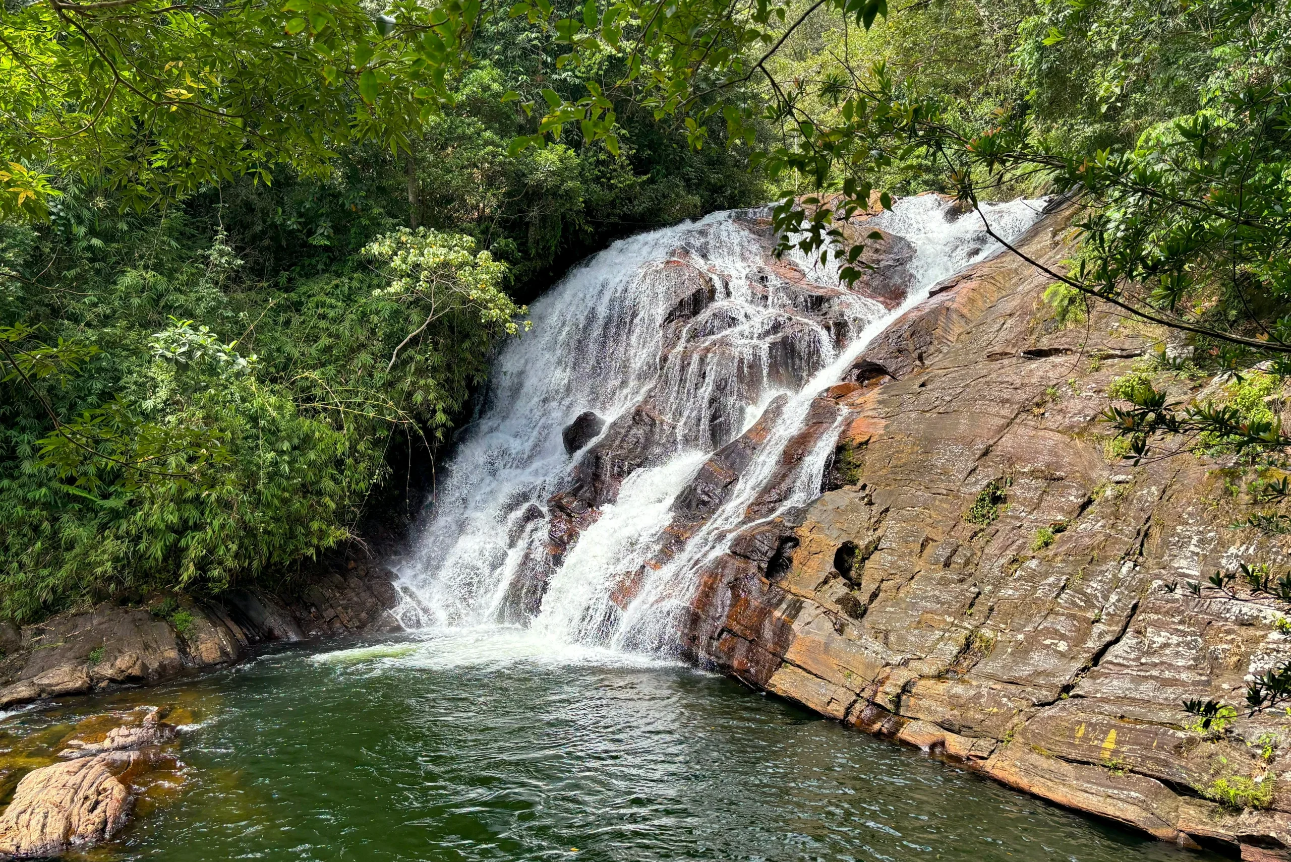 sadeep-jayashankha-vQKXEfXBSZk-unsplash